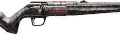 Winchester Xpert SR 22 LR