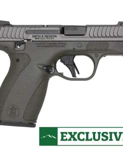 Smith & Wesson Bodyguard 2.0 TS 380 Auto (ACP) 2.75in Gray/OD Green Cerakote Pistol - 12+1 Rounds