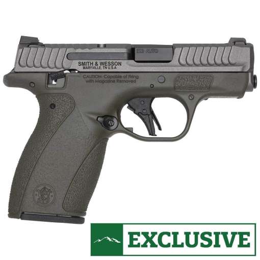 Smith & Wesson Bodyguard 2.0 TS 380 Auto (ACP) 2.75in Gray/OD Green Cerakote Pistol - 12+1 Rounds